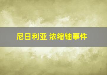 尼日利亚 浓缩铀事件